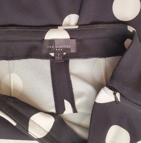 The Limited Polka Dot Skirt, Size 2 - Picture 2 of 3